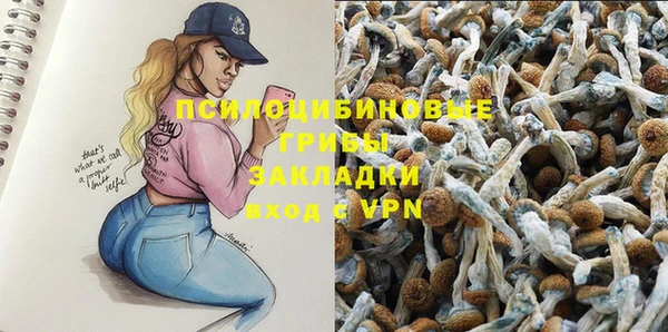 СК Беломорск