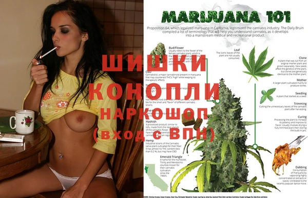стафф Белоозёрский